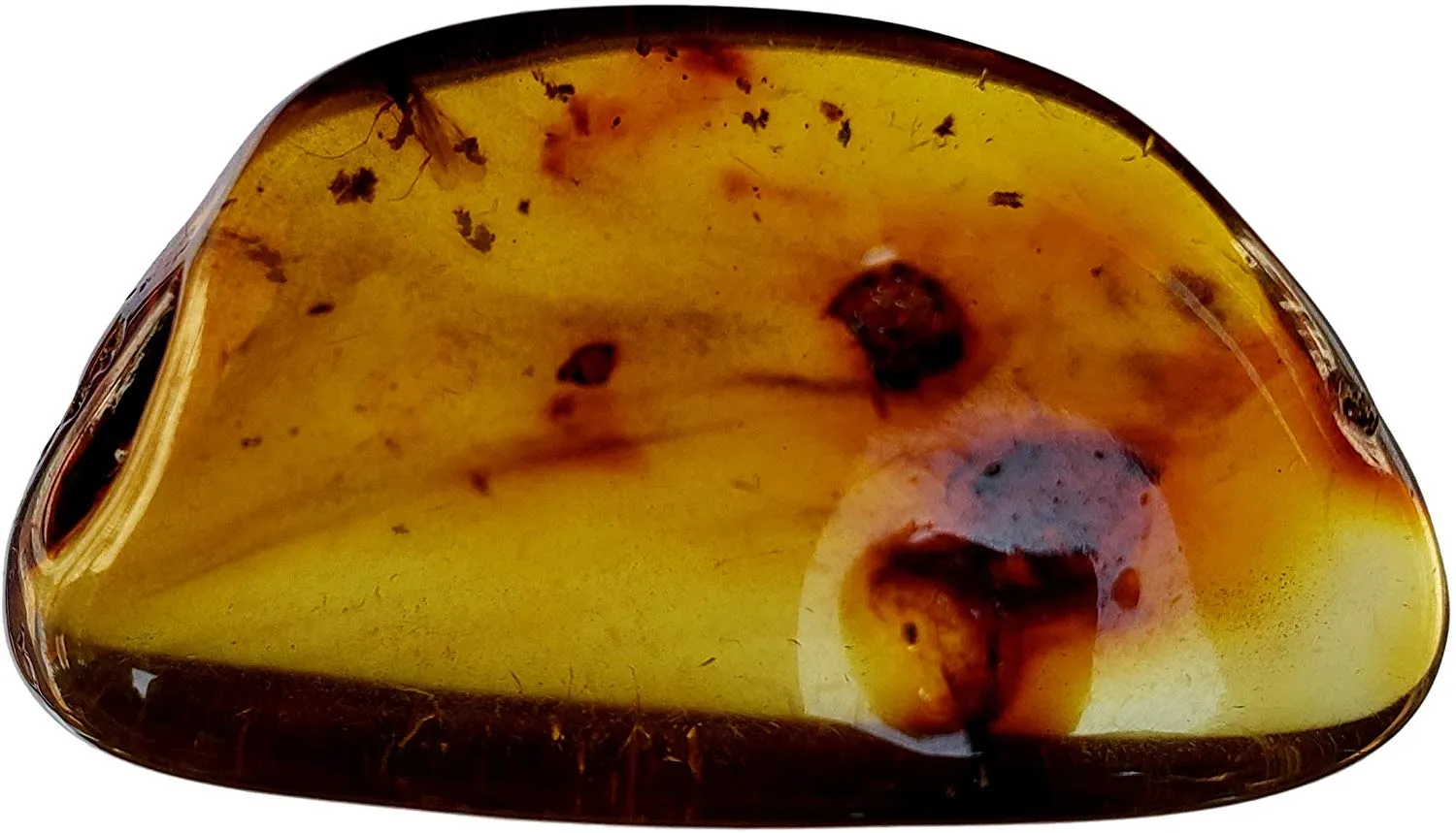 Amber Genuine Fossil Specimen - Multiple Insect Inclusions - Museum Grade, A-Grade - Great Collectible (38mm x 20mm)